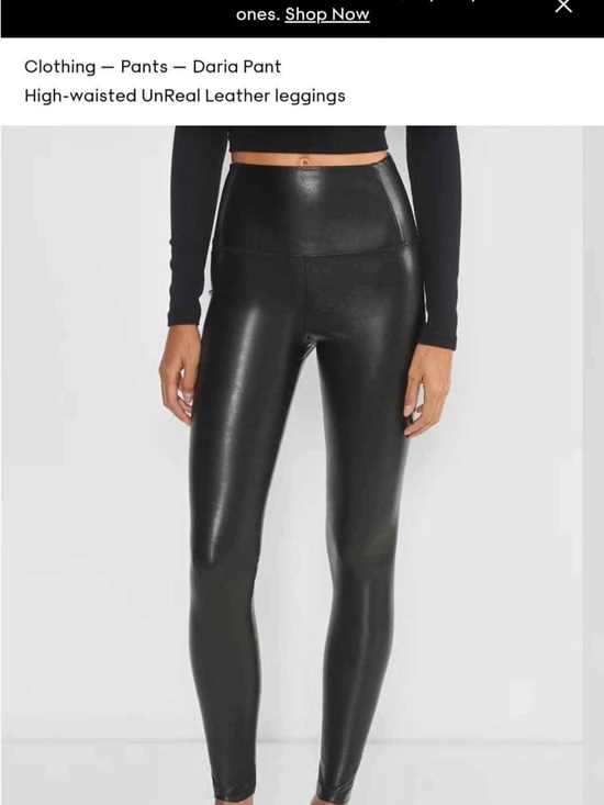 Aritzia Pants - Aritzia High-Waisted Faux Leather Leggings - Black
